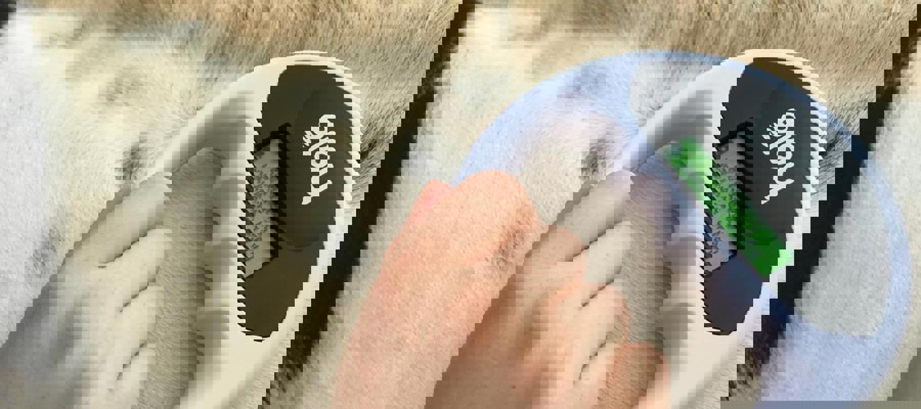 Microchip Scanner