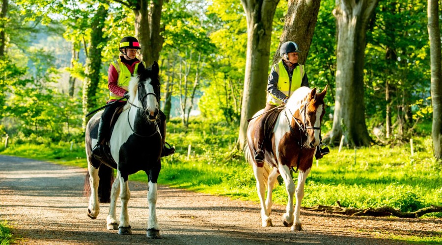 Mount Stewart Credit Andrew Towe Of Parkway Photography