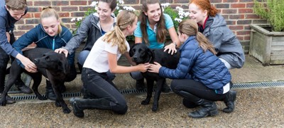 Safeguarding Courses