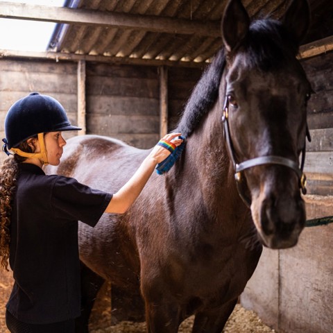 BHS Parbold Equestrian Centre 83